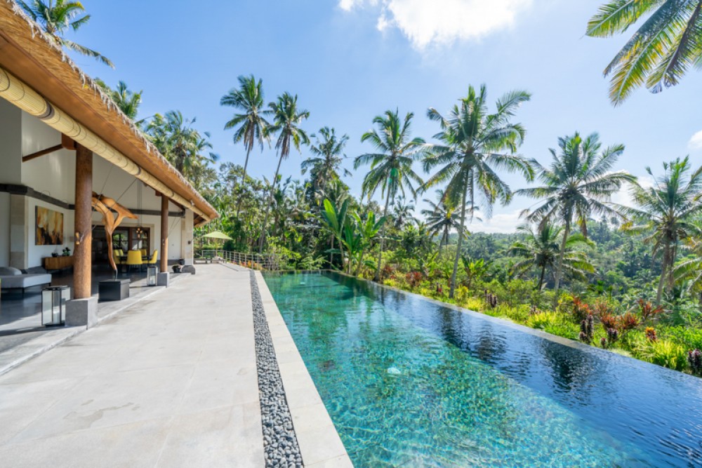 Ubud villas with a private pool and stunning view