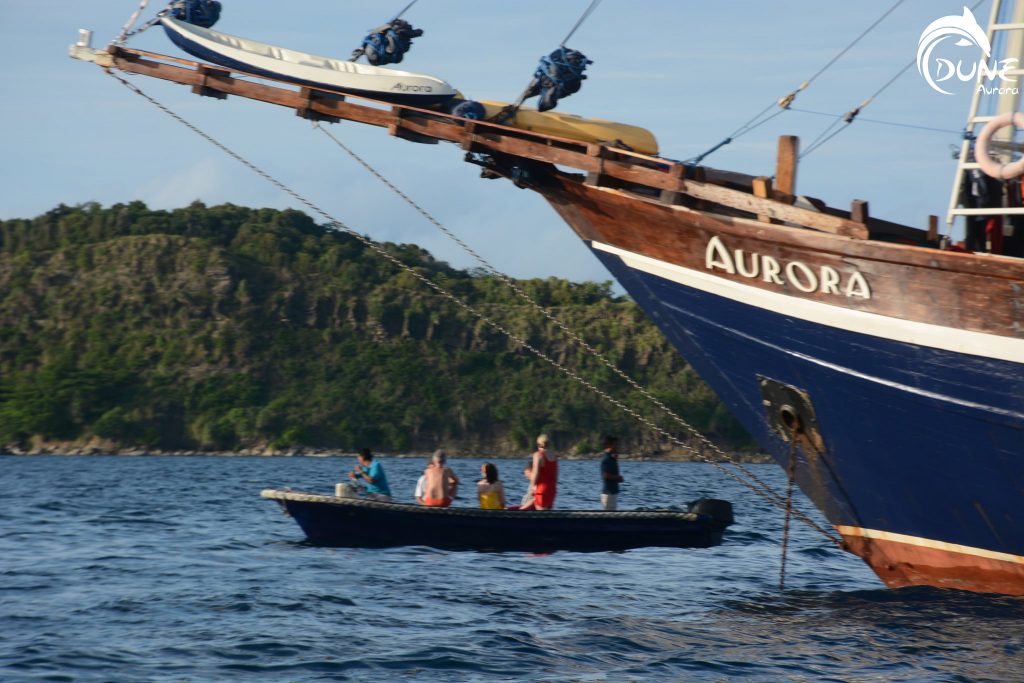Consider Going for Dive Trips in Bali with Private Yacht Charter