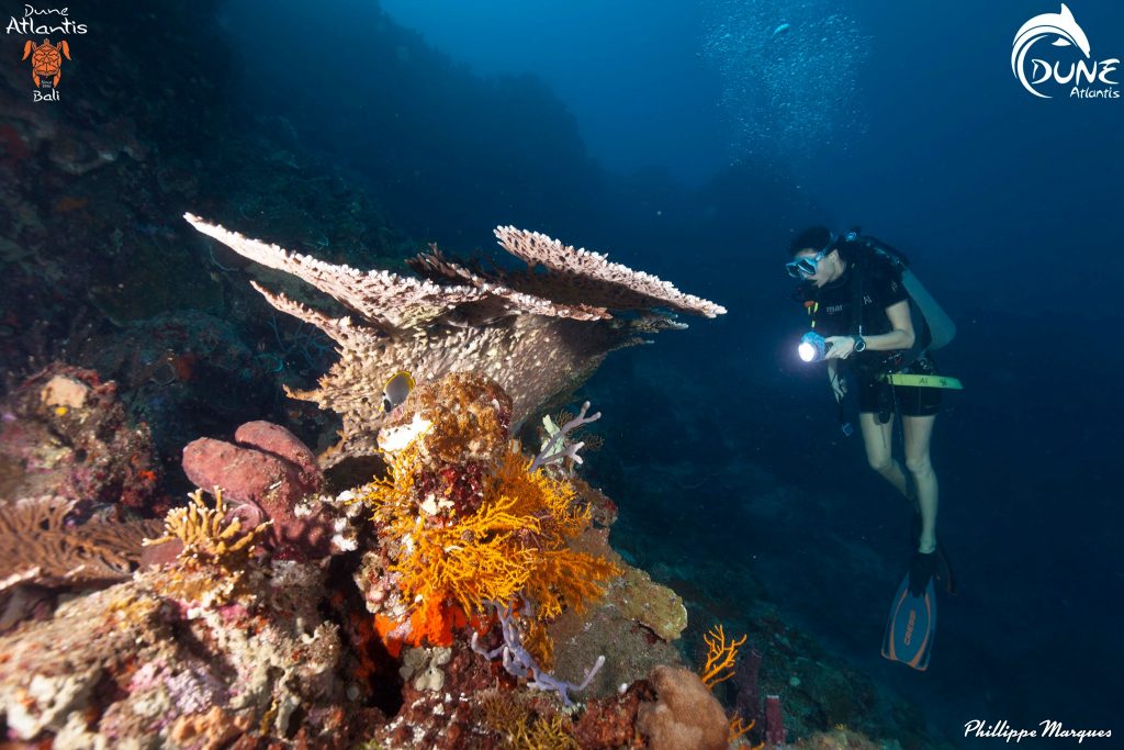Solo Travelling Tips for Scuba Diving Adventure in Bali